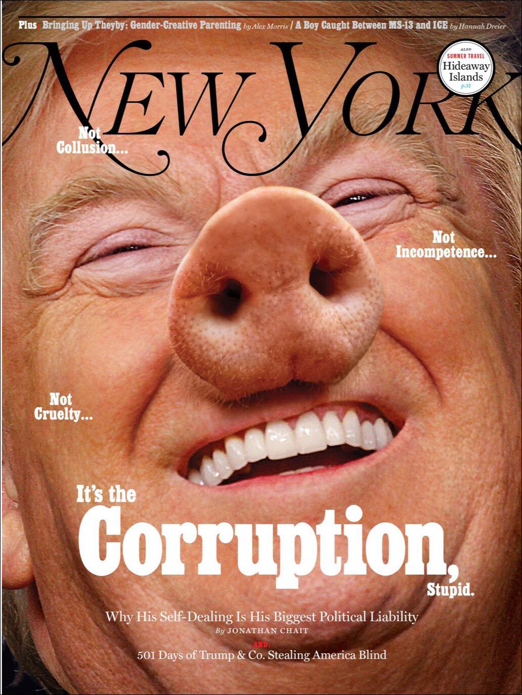 Corruption: Trump with pig nose on cover of New York magazine